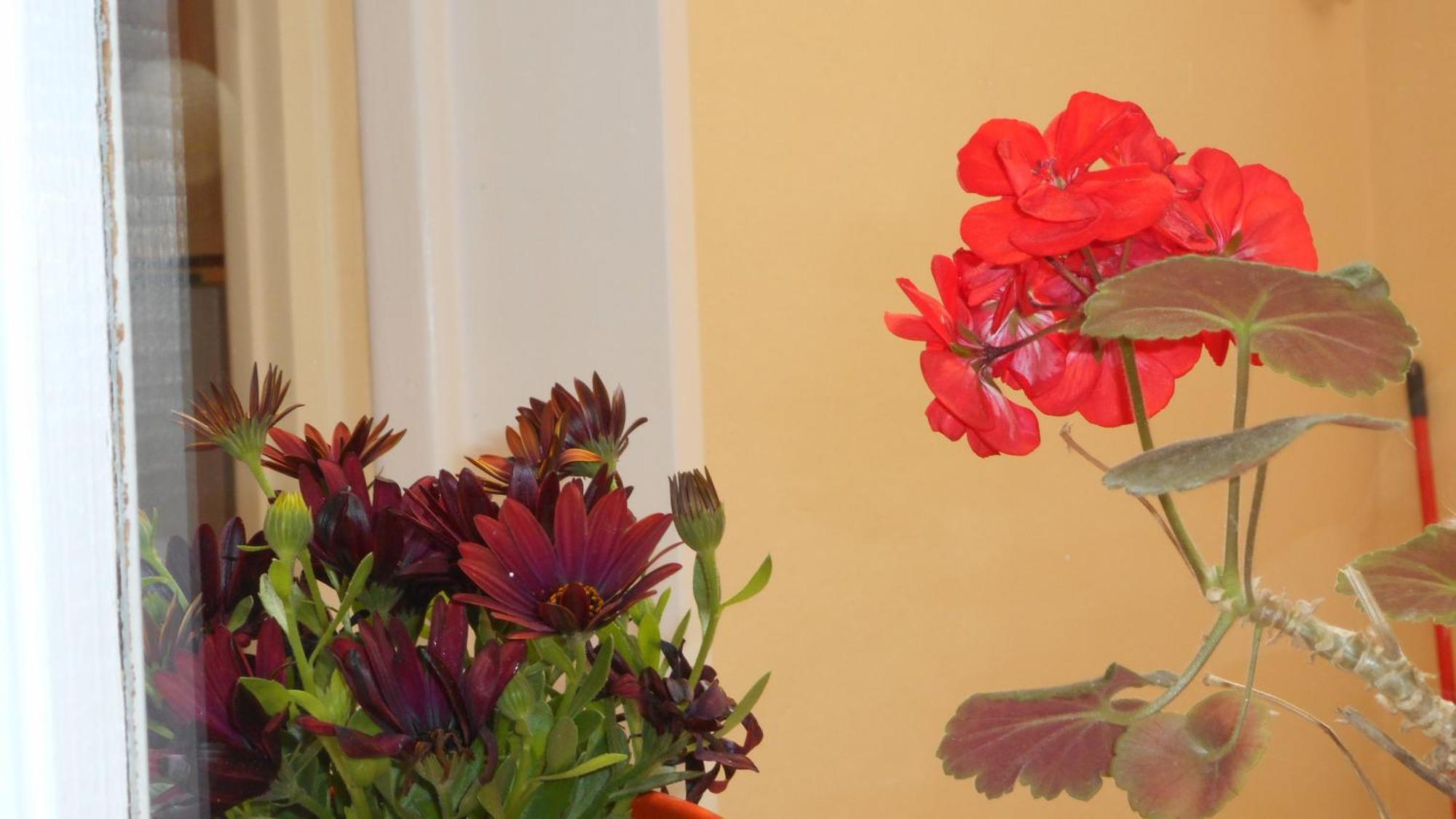 Elegant And Comfortable Apartment In The City Center Ermoupoli Exterior foto
